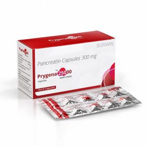 Prygena 25000